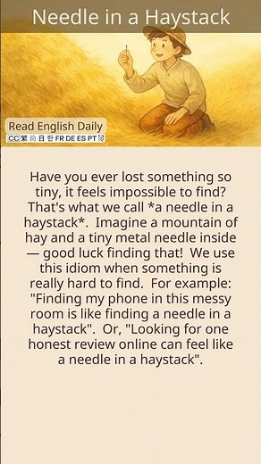 Learn English Idiom | Needle in a Haystack #learnenglish