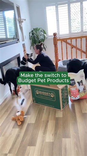 48 reactions | Discover a world of pet perfection at 헕혂헱헴헲혁 헣헲혁...