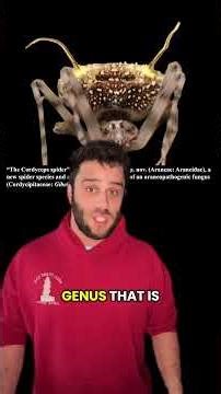 A New Species of Spider that Evolved to Mimic Fungi #evolution #animals #learning #biology #science