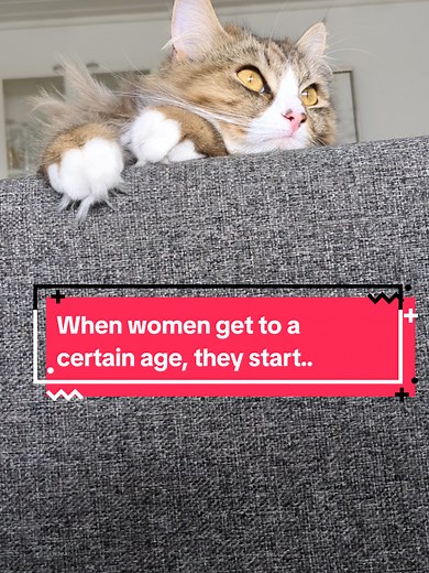 When Women Collect Cats: The Many Paws Phenomenon