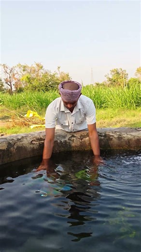 tako bhaiya ne 😍 nk sath 2 VIP sports kite ka big water test Kiya 🪁💦#shorts