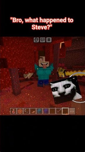 What's up to Steve 😩. #shorts#shortvideo#minecraft#minecraftshort#steveminecraft