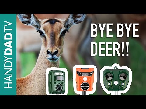 Electronic Deer Repellers - which one is best?