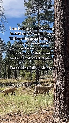 10K reactions · 285 shares | UNHINGED WAYS!!!!! I am ALREADY using every Land.com type app available! ANYONE SELLING 5 ACRES #unhinged #landscape #manifesting #property #goodvibesonly #FREE #life #Information #humor | Paisley Davis | Facebook
