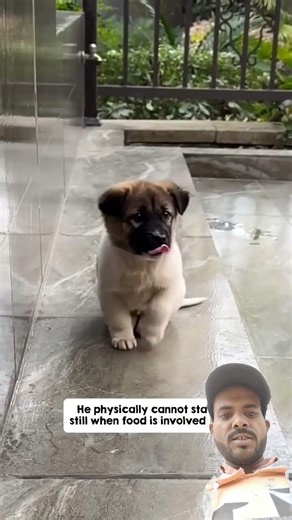 The cutest tap dancer I've ever seen 🤩