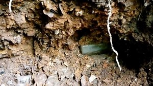 Digging 120 year old dump site in search of Valuable Antique Bottles! #history #antique #glass | Adventure Archaeology And Southern Diggers
