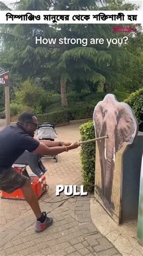 playing challenge game with animals in a zoo #funny #zoo #strength #challenge
