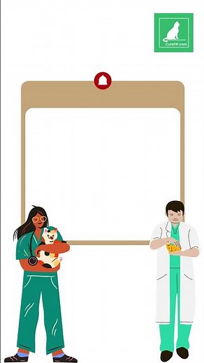 Feline Infectious Peritonitis: When should you take your cat to the vet?