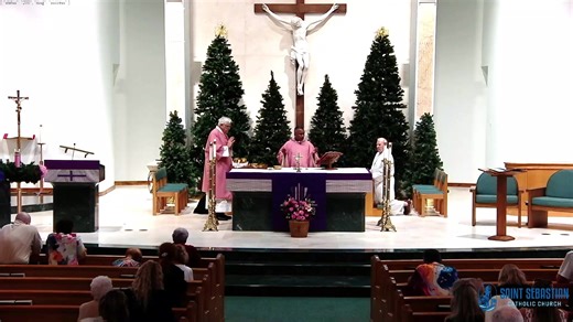 Live Stream our Mass | St. Sebastian Catholic Church