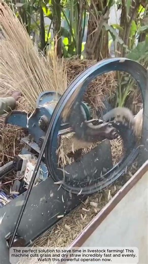 Amazing High-Speed Straw & Grass Cutter Machine | Efficient Farming!