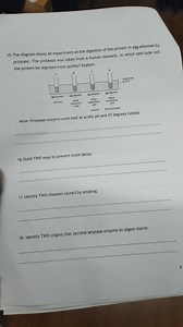The diagram shows an experiment on the digestion of the protein... | Filo