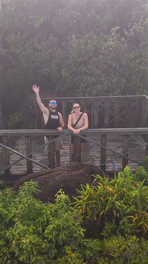 Breathtaking Seychelles travel: Crystal waters, lush landscapes & beach bliss