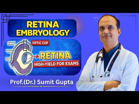Retina Embryology Explained Simply | Optic Cup, Hyaloid Artery & MCQs | Easy Explanation | Anatomy