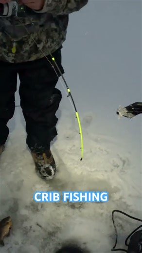 ICE FISHING NORTHERN WI #icefishing #outdoors #fishing #garmin #livescope #conservation #bluegill