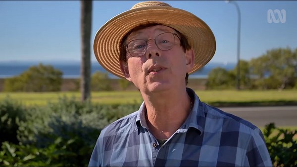 Top Tip | Staying Safe - Canary Island Date Palm - Gardening Australia