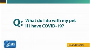 Centers for Disease Control on Instagram: "If you are sick with #COVID19 & your pet becomes sick, do not take your pet to the veterinary clinic yourself. Call your veterinarian & let them know you have been sick with COVID-19. Your veterinarian can evaluate your #pet & determine the next steps for your pet’s treatment and care. #CDC #PublicHealth #Coronavirus"