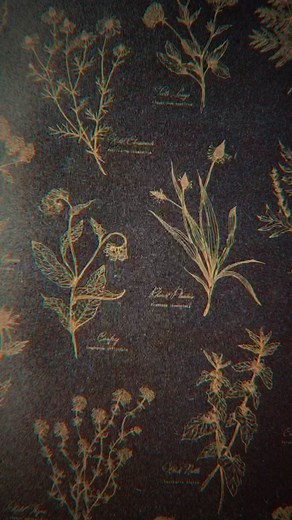 Creating a 3D Textured Paper Model of a Human Face