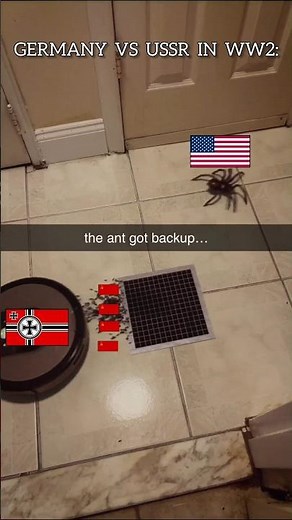 GERMANY VS USSR #history #comedy #humor #memes #funny #country #ww2 #jokes