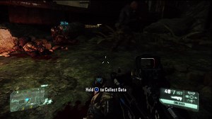 Welcome to the Jungle