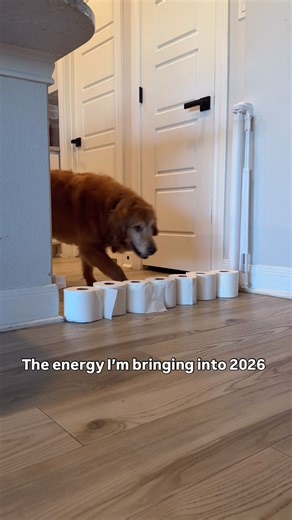 This year you can do anything. Okay, well almost anything.