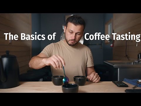 An Intro To Coffee Tasting - The Basics Of Our Coffee Cupping Process