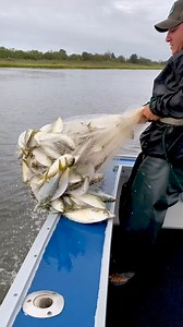 193M views · 2.1M reactions | That's a Lot of Baitfish  #bait #fish #fishing #northeast #ocean | BlacktipH | Facebook