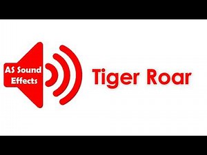 Tiger Roar Sound Effect HD (No Copyright) | AS Sound Effects 2021