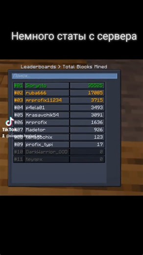 StoneBlock 4 немного статистики игроков #phonk #funk #sb4 #stoneblock4 #server #friends