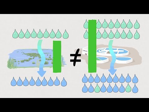 Valuation of Ecosystem Services: Replacement Cost Method