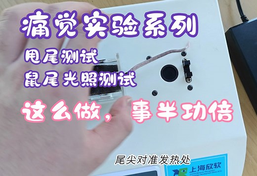 鼠尾光照测痛实验/甩尾实验（Tail Flick Test）正确操作方式