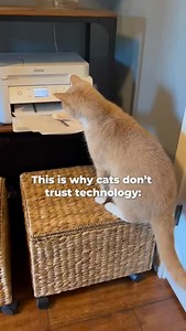Luckily, iScanner is the chill one 欄 #iscannerapp #scanner #documents #paperfree #paperless #scannerapp #funnymemedaily | iScanner - PDF Document Scanner | Facebook