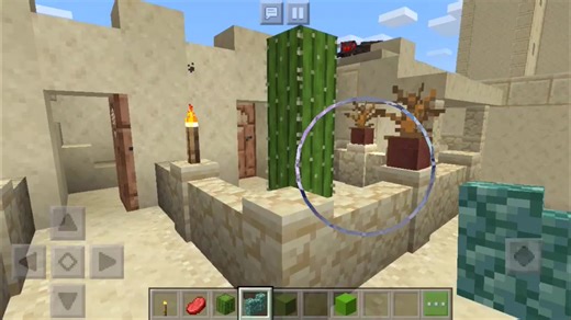 Cactus girl! on TikTok