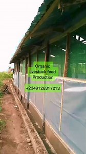 63K views · 786 reactions | Producing organic livestock feed is now a way forward for farmers | Bempet Organic Farm | Facebook