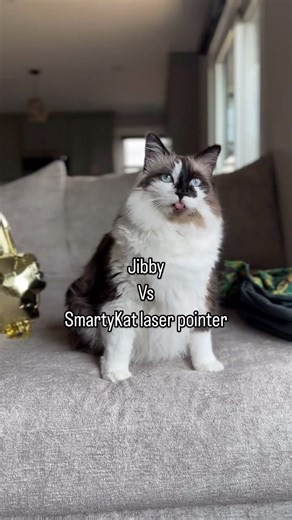 SmartyKat on Instagram: "Still no capture. Still no surrender. The red dot lives another day. 🔴😼 Think your cat can catch the Loco Laser? Grab yours @walmart 🐾"