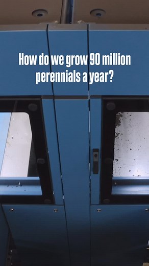 36 reactions | In the world of ornamental plant production, scale and...