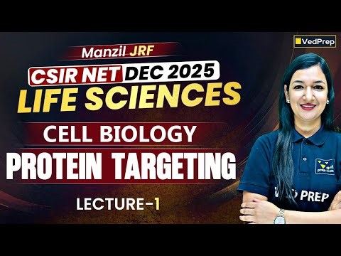 Protein Targeting L-1 | CSIR NET Dec 2025 Life Sciences | Cell Biology | Manzil JRF