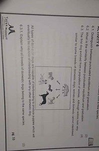 6.1 Distinguish between punctuated equilibrium and gradualism.... | Filo