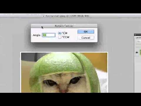 Photoshop Basics - How To Rotate An Image