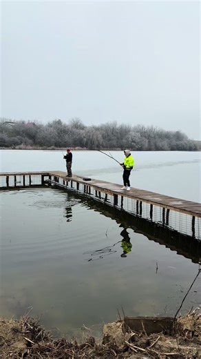 #ViralPeTikTok #foryou #fy #fyp #fostabgs TikTok