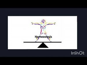 Osmoregulacion y osmoconformadores