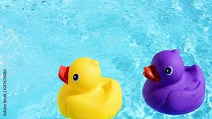 A yellow and purple rubber duck swim into the picture from below, floating relaxed and casually on the sparkling and crystal-clear water of a pool Stock Video