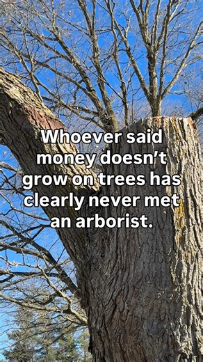 We know, we know… hiring an arborist isn’t cheap. But there’s a reason for that. Behind every “simple” tree job is: • years of training • safety certifications • specialized equipment • climbing, rigging, and technical skill • and the experience to do it safely, efficiently, and without damage Tree work isn’t just cutting branches, it’s managing risk, protecting your property, and ensuring your trees stay healthy for years to come. **** We pride ourselves on offering competitive, fair pricing fo