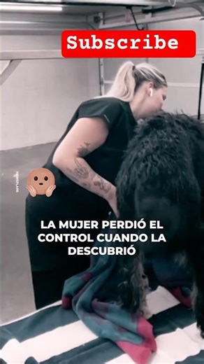 Mira lo que encontré ami perro 🐕