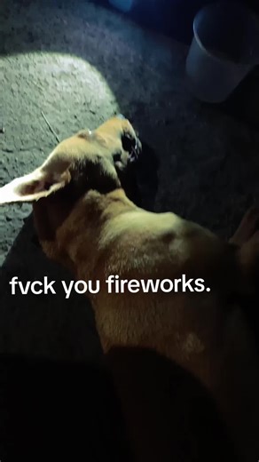 Worst Year Reflections