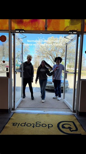 Corporate asked us to make a serious daycare video….this is what they got instead😂 #dogtopia #dogtopiaofmidlothian #fyp #viralvideo