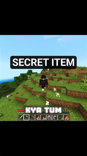 Java Players Don’t Have This 😳