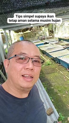 6.9K views · 104 reactions | Air hujan bisa dengan cepat menaikan ph air yang berakibat ikan stres, sakit, lalu mati. Jadi sebisa mungkin jangan sampai kena air hujan. Jika tidak bisa ditutup lakukan treatment khusus terhadap air : tktk Jokiweda | Wisdombetta | Facebook