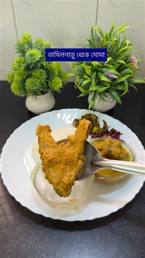 আজ দুপুরের লাঞ্চ মেনু ||Bengali Lunch Menu #shorts #reels #bengali #tasty #plating