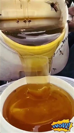 Filtering and collecting process of pure honey