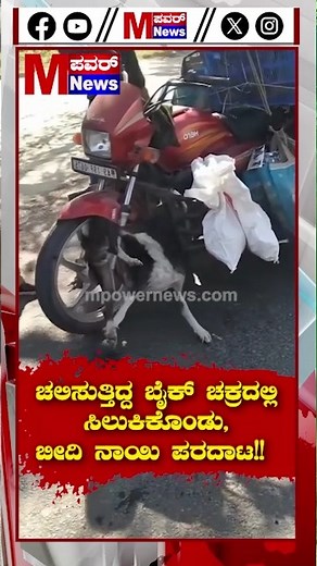 Dog & Byke Accident | ಚಲಿಸುತ್ತಿದ್ದ ಬೈಕ್ ಚಕ್ರದಲ್ಲಿ ಸಿಲುಕಿಕೊಂಡು - ಬೀದಿ ನಾಯಿ ಪರದಾಟ!! #mpowernews #mpowernewsupdate #mpowernewsOfficial #mpowernews #mpowernews #mpowernewsDigital #karnatakapoliticalanews #viralvideo #viralshorts #mpowernewsshorts #trendingvideos #latestvideos #mpowernews News24x7 Official is Most Popular Digital Kannada Channel That Brings the latest news and information to Viewers. ನಮ್ಮ ನೆಟ್‌ವರ್ಕ್ ಕರ್ನಾಟಕದ ಪ್ರತಿ ಜಿಲ್ಲೆಯಾದ್ಯಂತ ಹರಡಿದೆ. ಪ್ರಮುಖ ಪ್ರಾದೇಶಿಕ ಸುದ್ದಿ ವಾಹಿನಿಯು ಭಾರತದಾದ್ಯಂತ ಗಮನ